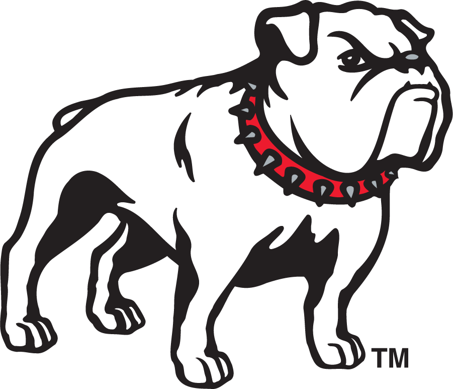 Georgia Bulldogs 1996-2000 Secondary Logo v4 DIY iron on transfer (heat transfer)